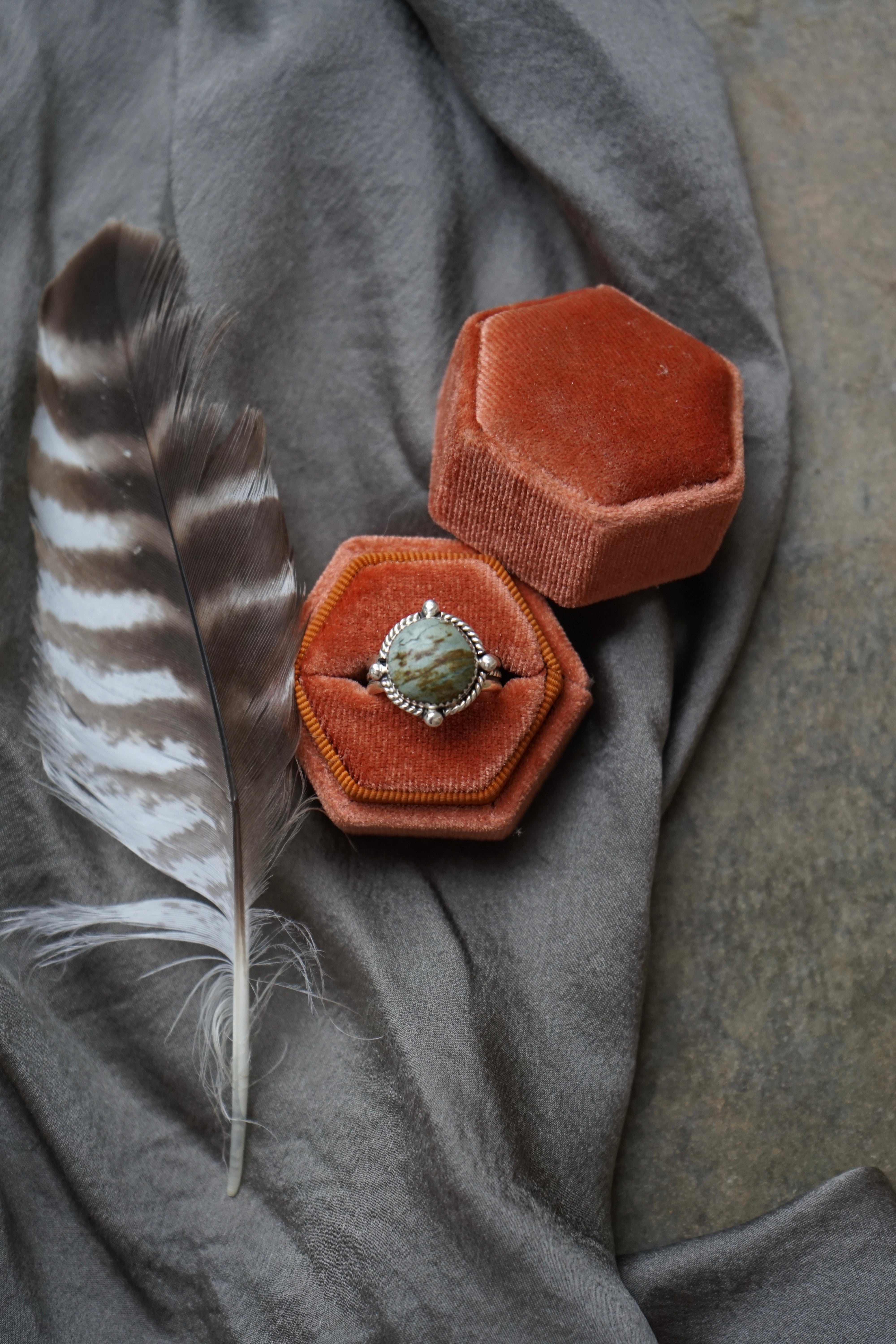Petrified Bristlecone Pine Ring sz. 7.5