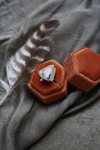 Petrified Wood Ring sz. 8.5