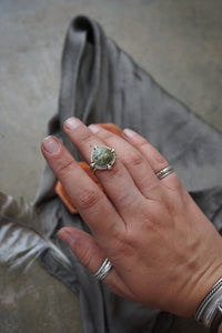 Petrified Bristlecone Pine Ring sz. 7.5